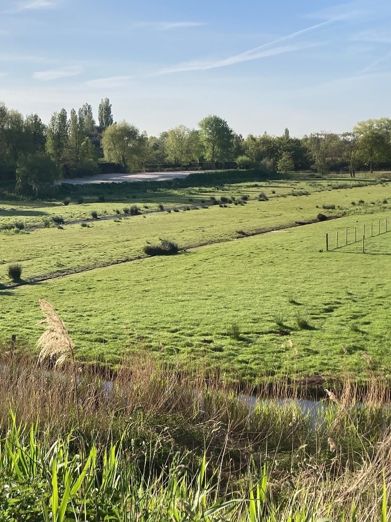 Bedaux de brouwer Nieuw Tervoort Bavel verticaal 1