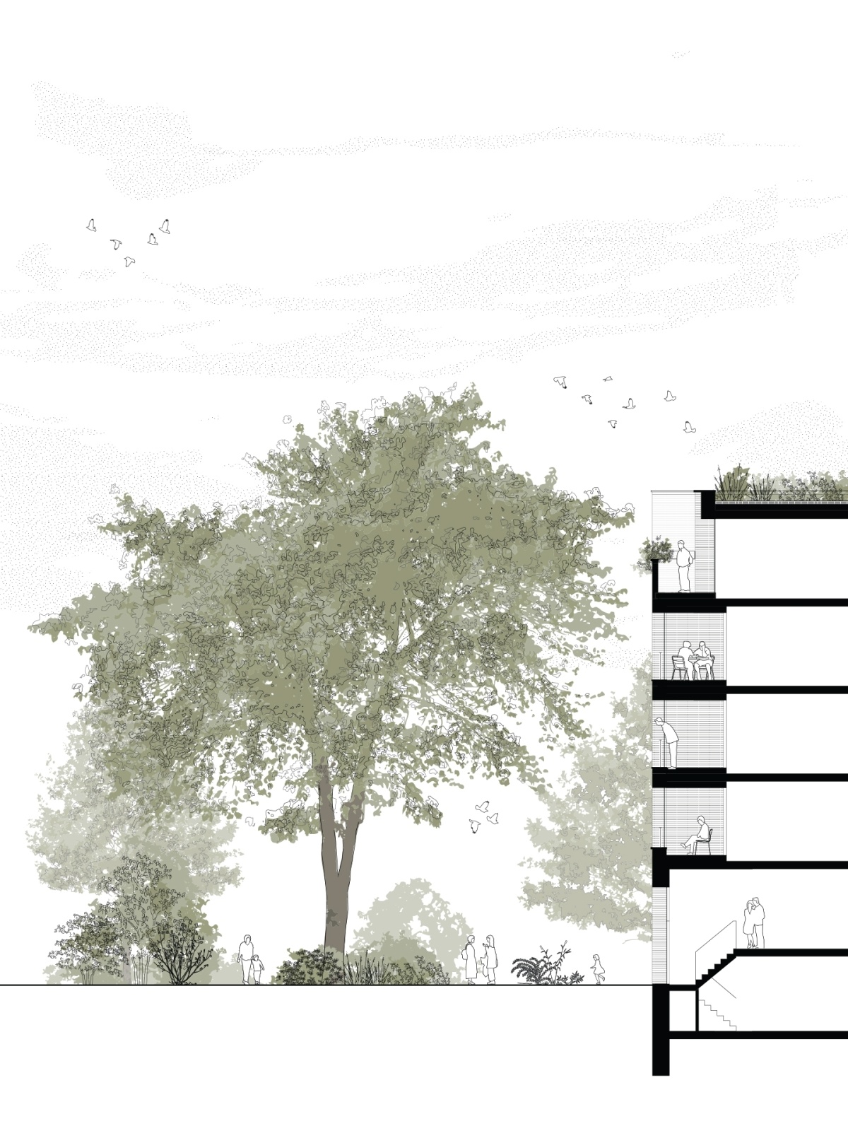 Bedaux de brouwer dommelhoef eindhoven verticaal doorsnede