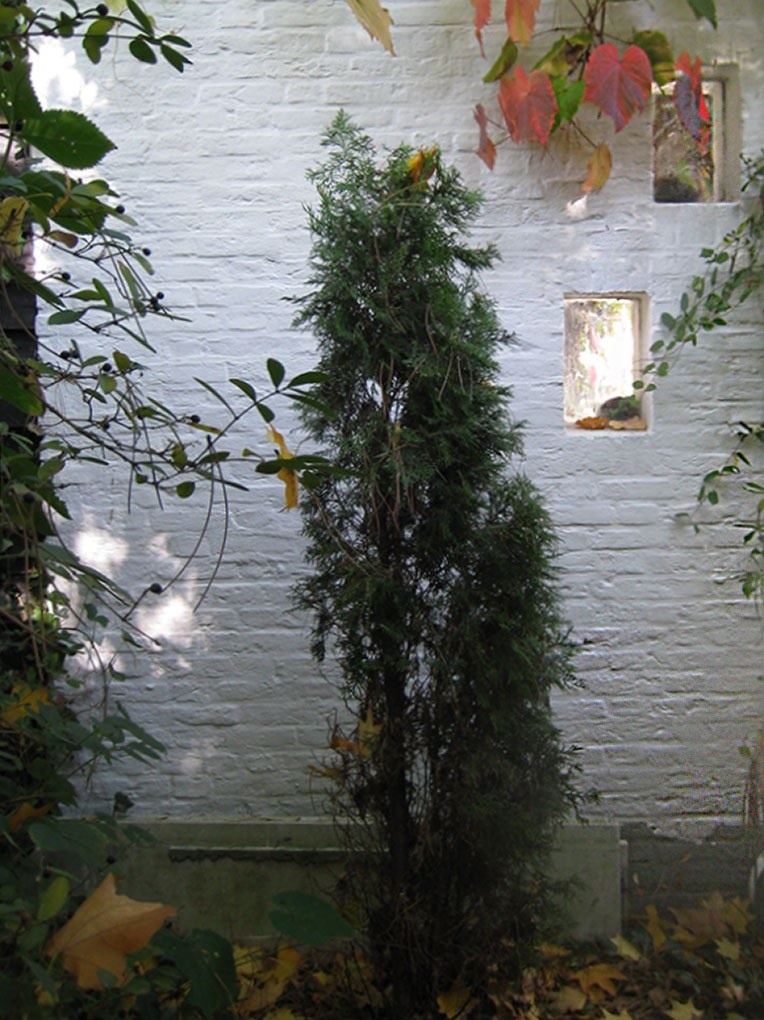 Bedaux de brouwer 0571 woonhuis verbunt dongen tuin