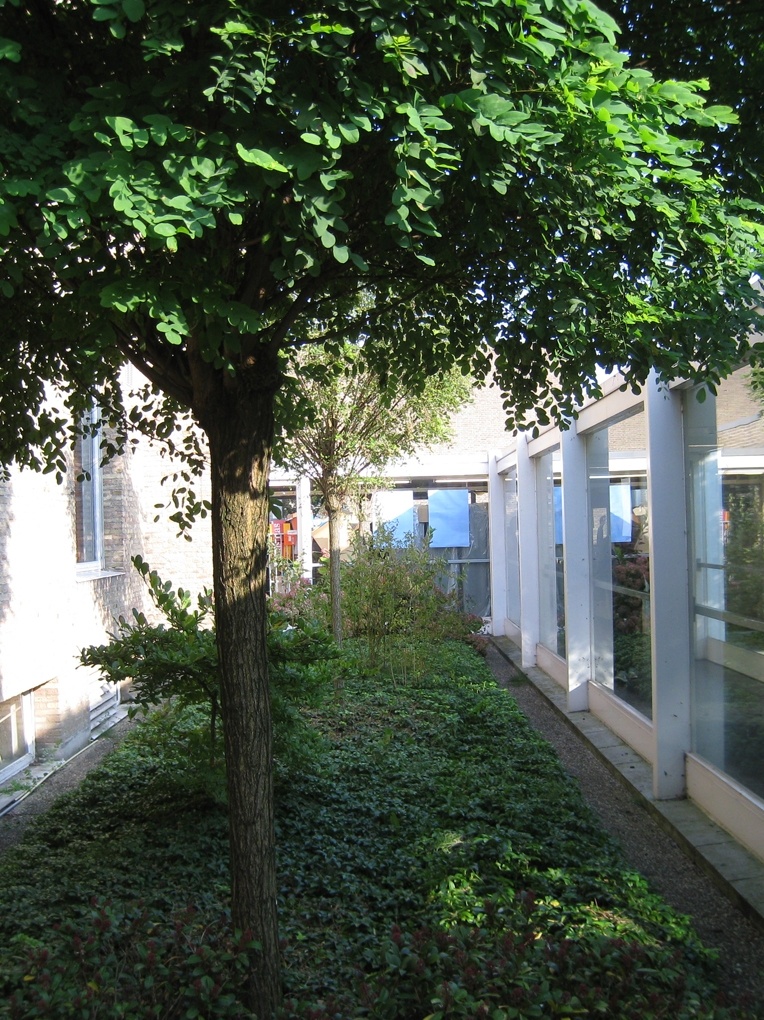 Bedaux de brouwer 0581 kweekschool oudenbosch binnentuin